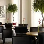 Park Plaza 4*
